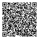 QR код "Глобус"