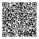 QR код "Сокол"