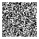 QR код "Vega"