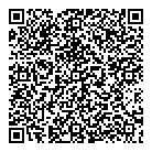 QR код "Глобус"
