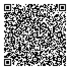 QR код "SnowImage"
