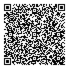 QR код "Domini"