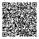 QR код "Домино"
