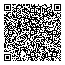 QR код "Mega bloks"