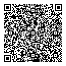 QR код "Дикий рой"