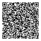 QR код "Модная сова"