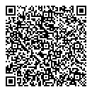 QR код "Соло"
