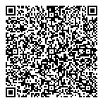 QR код "Люкс серебро"