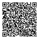 QR код "Домино"