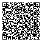 QR код "Лунная ночь"
