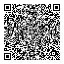 QR код "Профессионал"