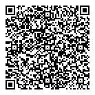 QR код "Пламис"