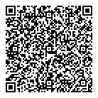 QR код "Метеор"