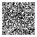 QR код "Полли"