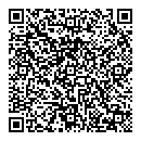 QR код "Барс"