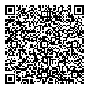 QR код "Домино"