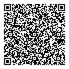 QR код "Звёздный"