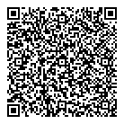 QR код "Шайба"