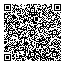 QR код "Лавина"