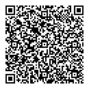 QR код "Диноко"