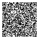 QR код "Диноко"