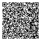 QR код "Профессионал"
