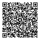 QR код "Solo"