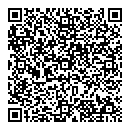 QR код "Ниеншанц"