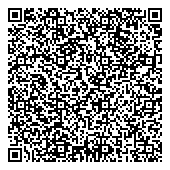 QR код "Finn Flare"