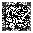 QR код "Сокол"
