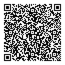 QR код "Мир"