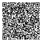 QR код "Бис"