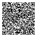 QR код "Венеция"