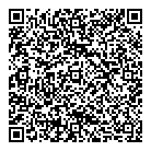 QR код "ДНС"