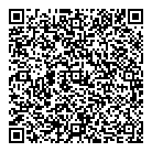 QR код "ДНС"