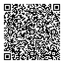 QR код "Carlsson"