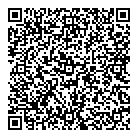 QR код "ДНС"