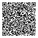 QR код "Гжель"