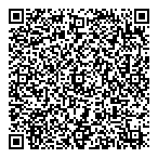 QR код "da Vinci"