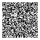QR код "Профессионал"