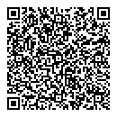QR код "Salonchik"