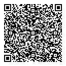QR код "Дамбо"