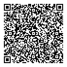 QR код "Лазер 55"
