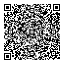 QR код "Мост"