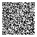 QR код "Дельта"