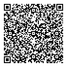 QR код "Китайский летчик"