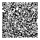 QR код "Глобус"