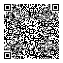 QR код "Викинг"