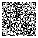 QR код "Паутина"