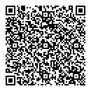 QR код "Леди"
